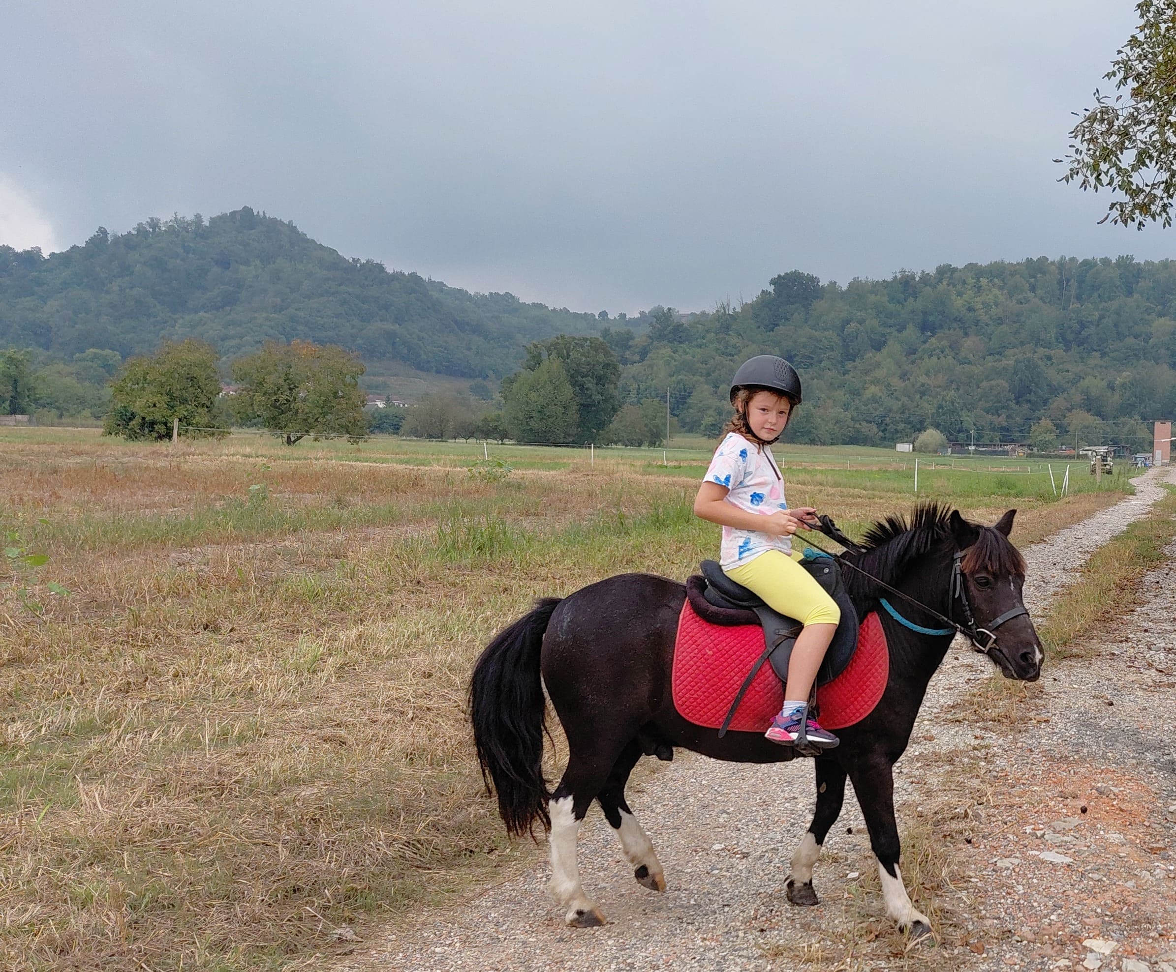 A cavallo